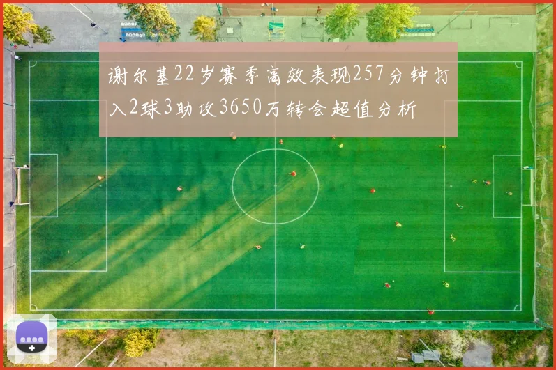 谢尔基22岁赛季高效表现257分钟打入2球3助攻3650万转会超值分析