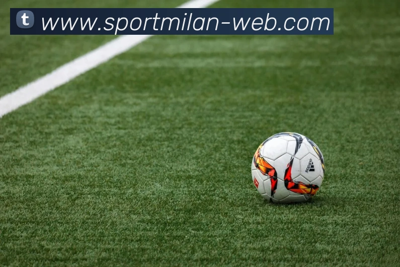 米兰体育平台生态图