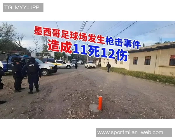 墨西哥足球赛期间突发袭击事件造成11人遇难引发广泛关注